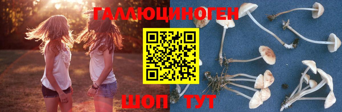 Южноуральск  Галлюциногенные грибы ЛСД  Вход с VPN 